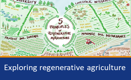 Exploring regenerative agriculture