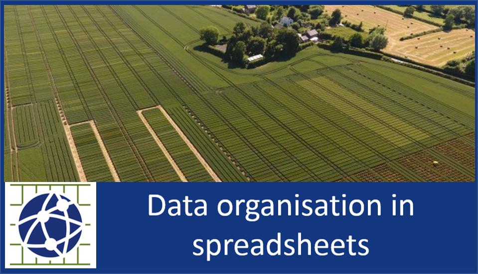 Data organisation in spreadsheets