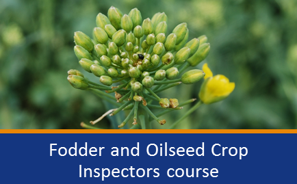 Forage and oilseeds crop inspectors course