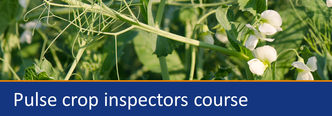 Pulse crop inspectors course header